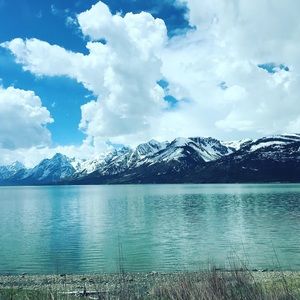 Meet your Posher, Paul